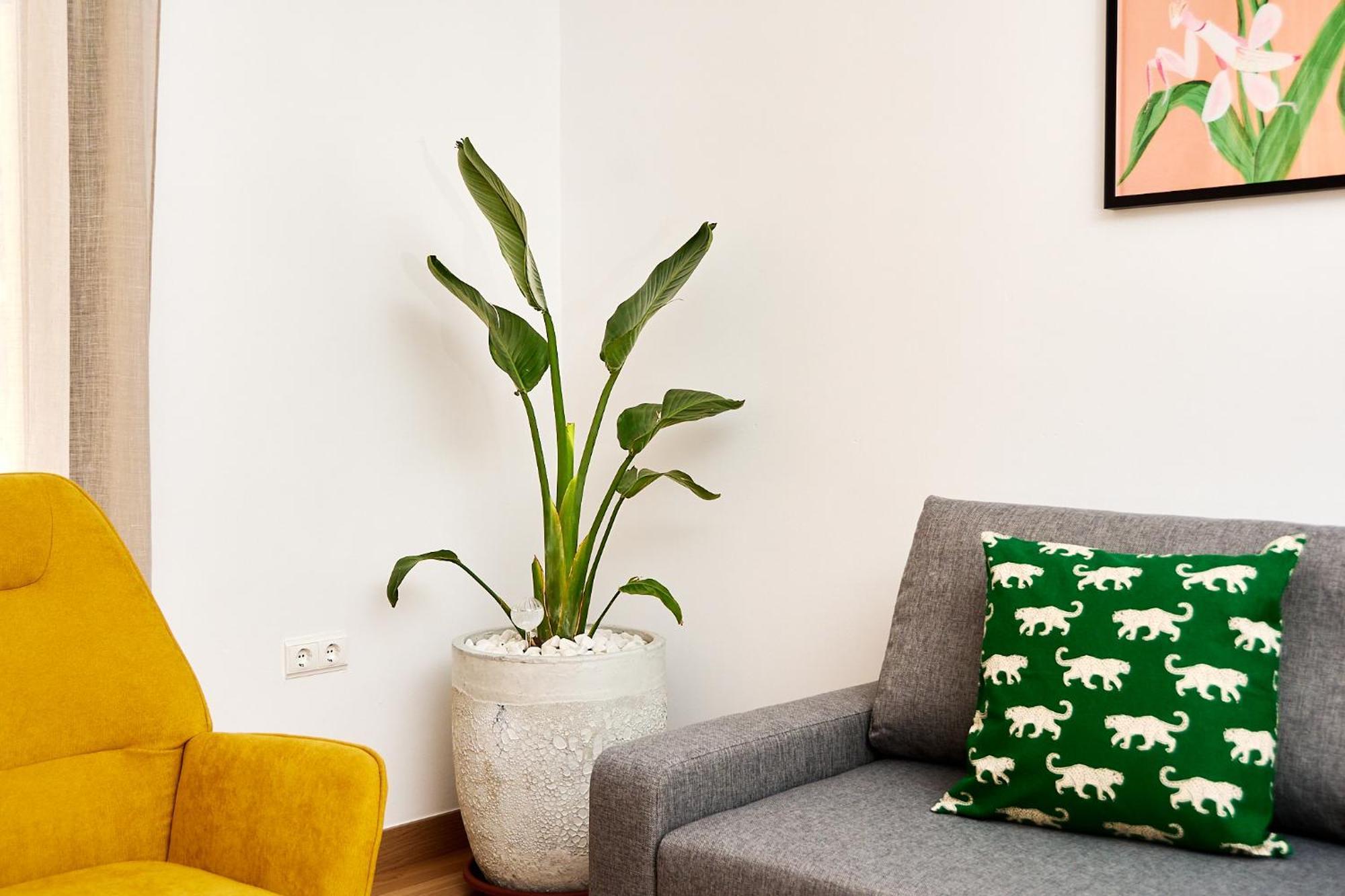 Appartement Que Bueno Que Viniste Caces Extérieur photo